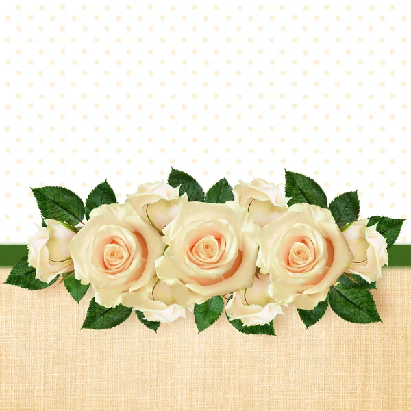 Rose flowers arrangement — Stock Photo, Image